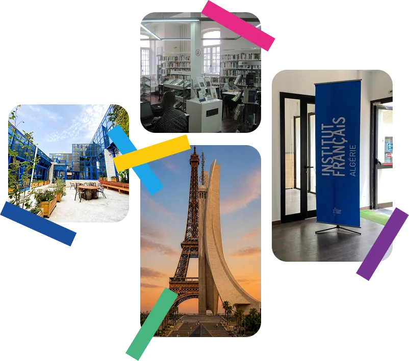 L'INSTITUT FRANÇAIS D'ALGÉRIE
